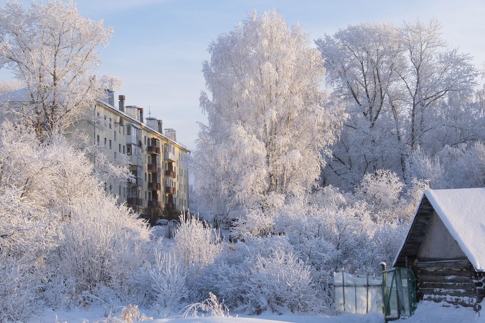 Фотография автора Наталья Липовская