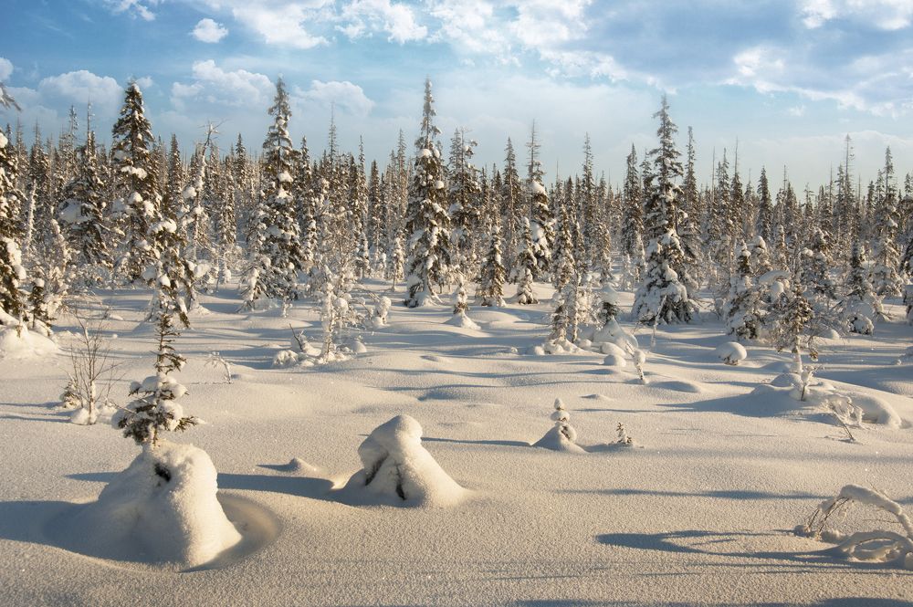 Photograph by ARTEM KORZHUKOV