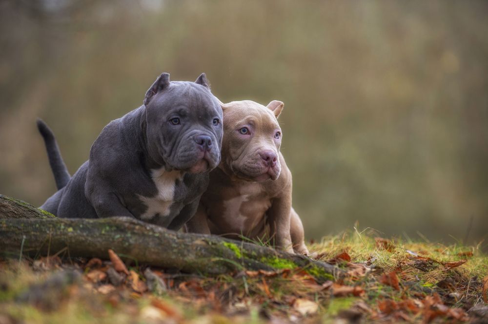 Photograph by Кулаков Юрий