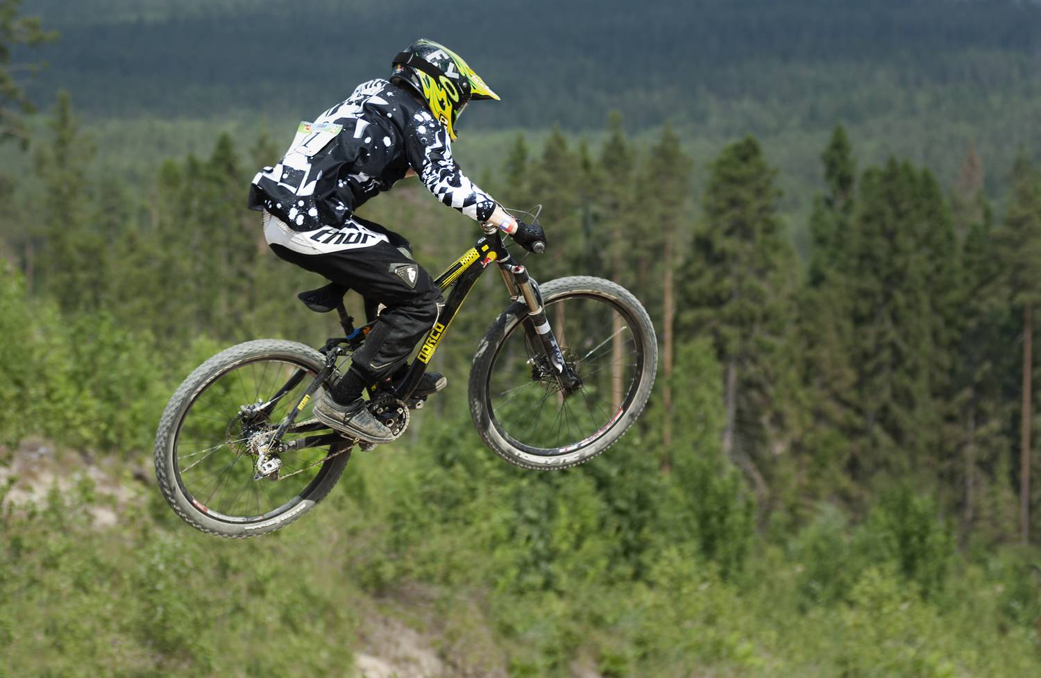 Photo #10020713