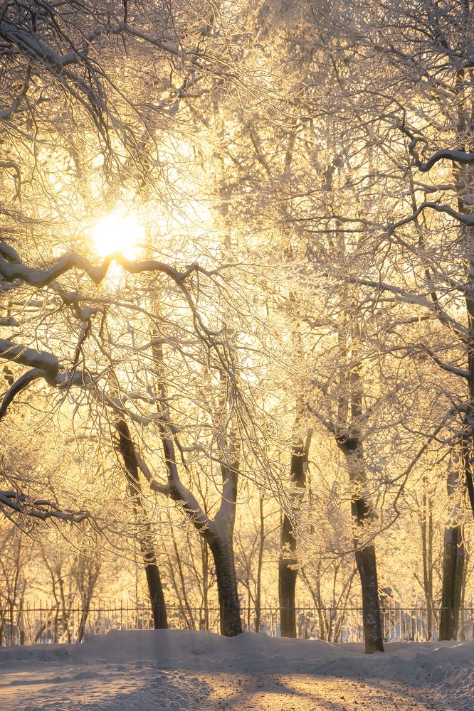 Фотография автора Владимир Коровяковский