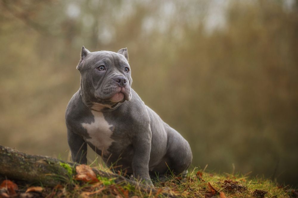 Photograph by Кулаков Юрий