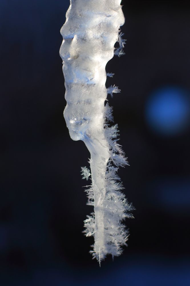 Зимние образы