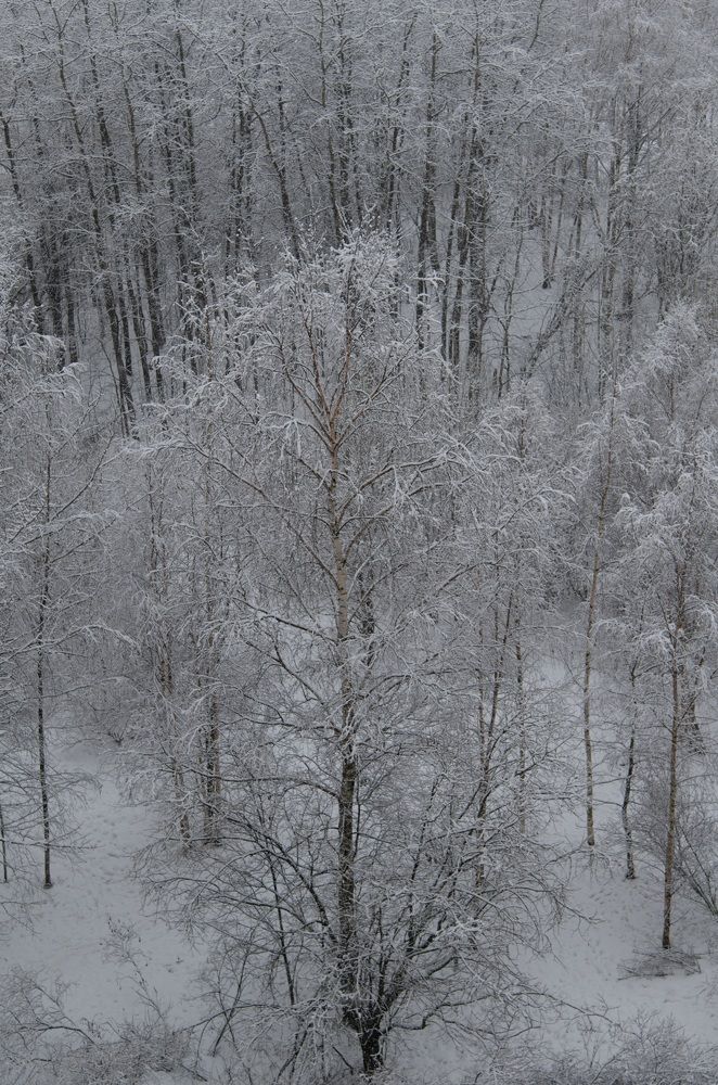 Photograph by Наталия Бочкова