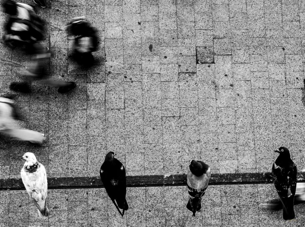Photograph by Catalina Burlacu