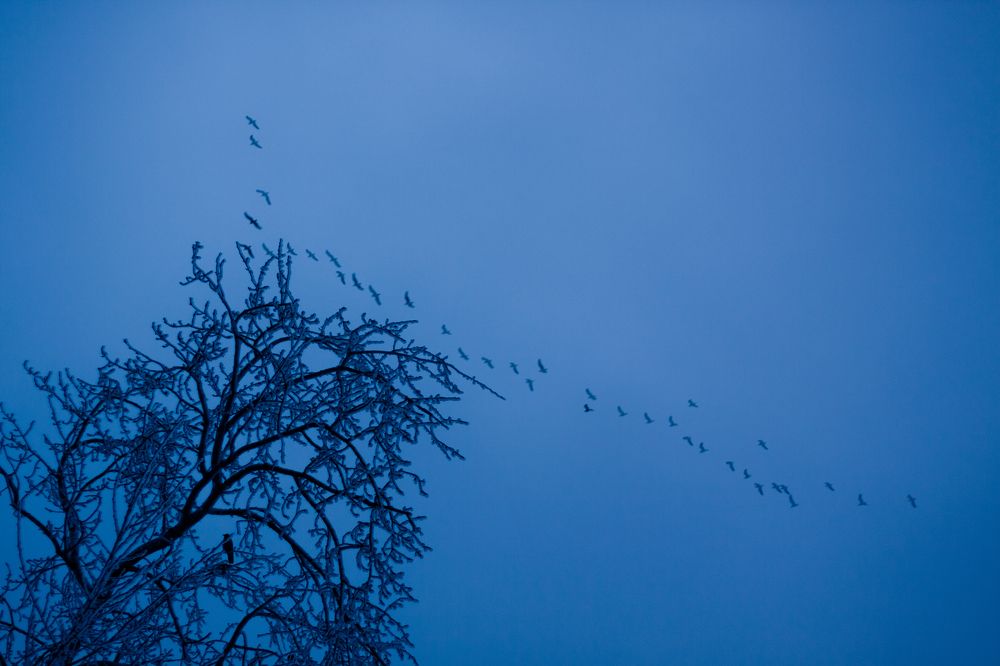 Photograph by Илья Ушак