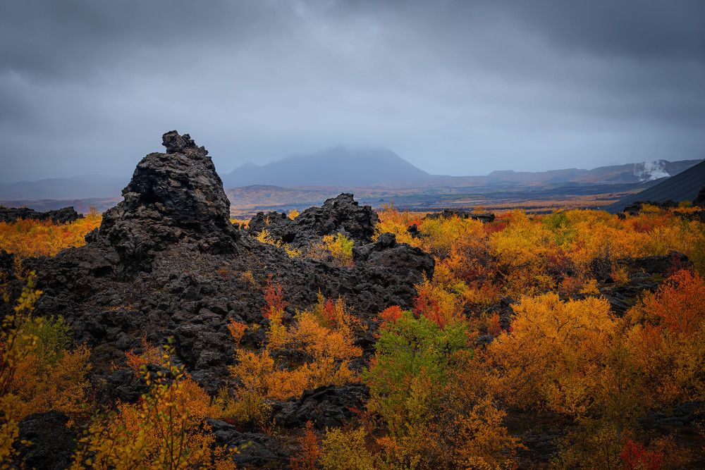 Photograph by Venelin Lyubomirov Dimitrov
