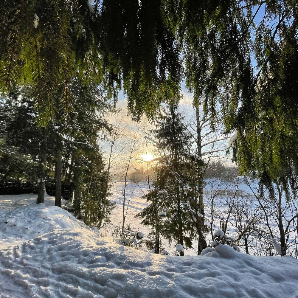 Photograph by Елена Джалалян
