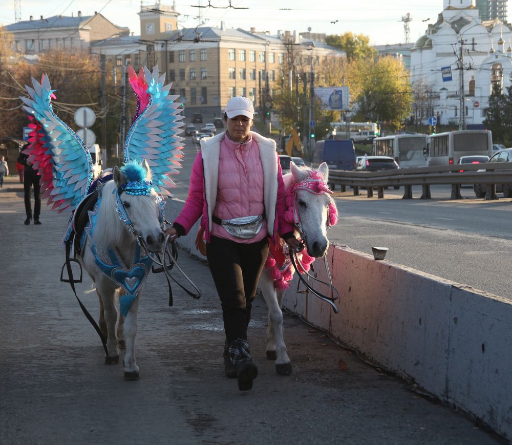 Photograph by Мария Самоловова