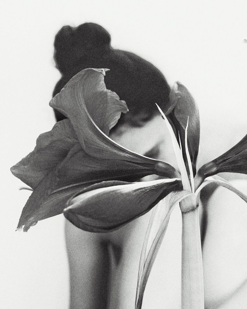 Photograph by Yulia Bilato