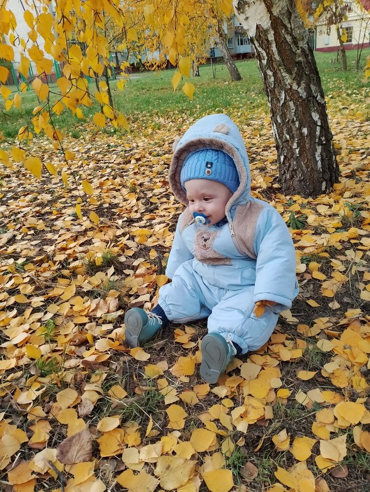 Photo #10020997