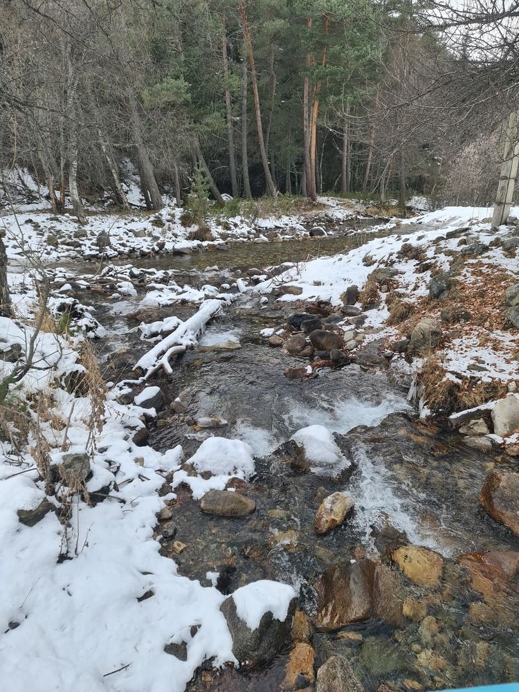 Фотография автора Анастасия Остапчук