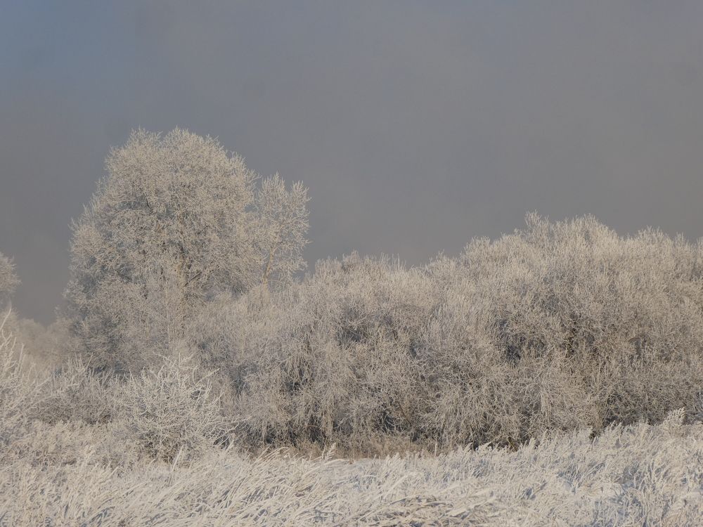 Photograph by Андрей Садчиков