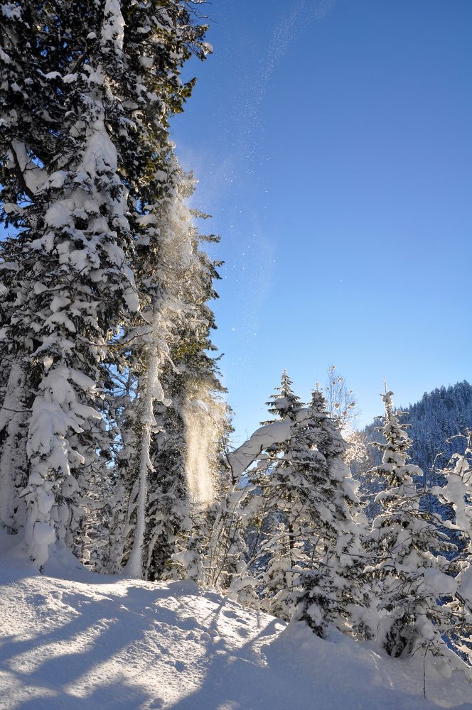 Photograph by Светлана