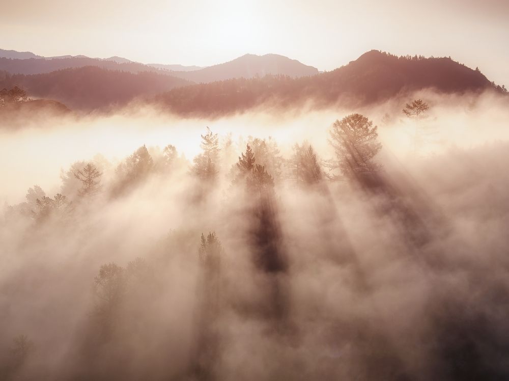 Photograph by Владимир Лякишев