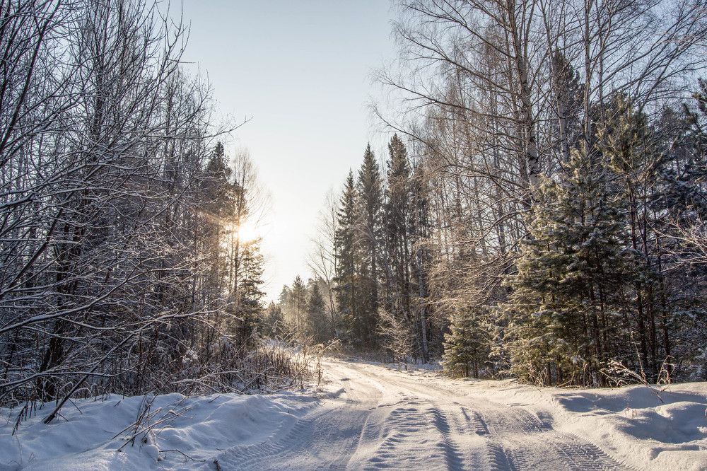 Photograph by Михаил Ананьин