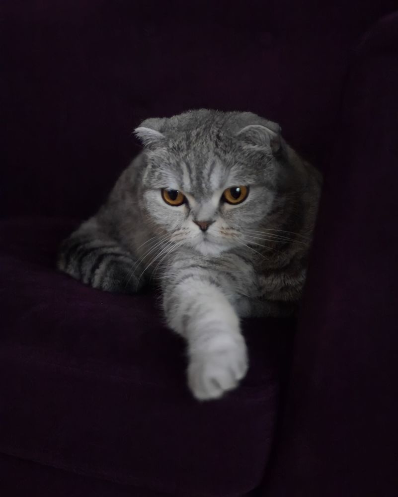 Фотография автора Лариса Хвостова