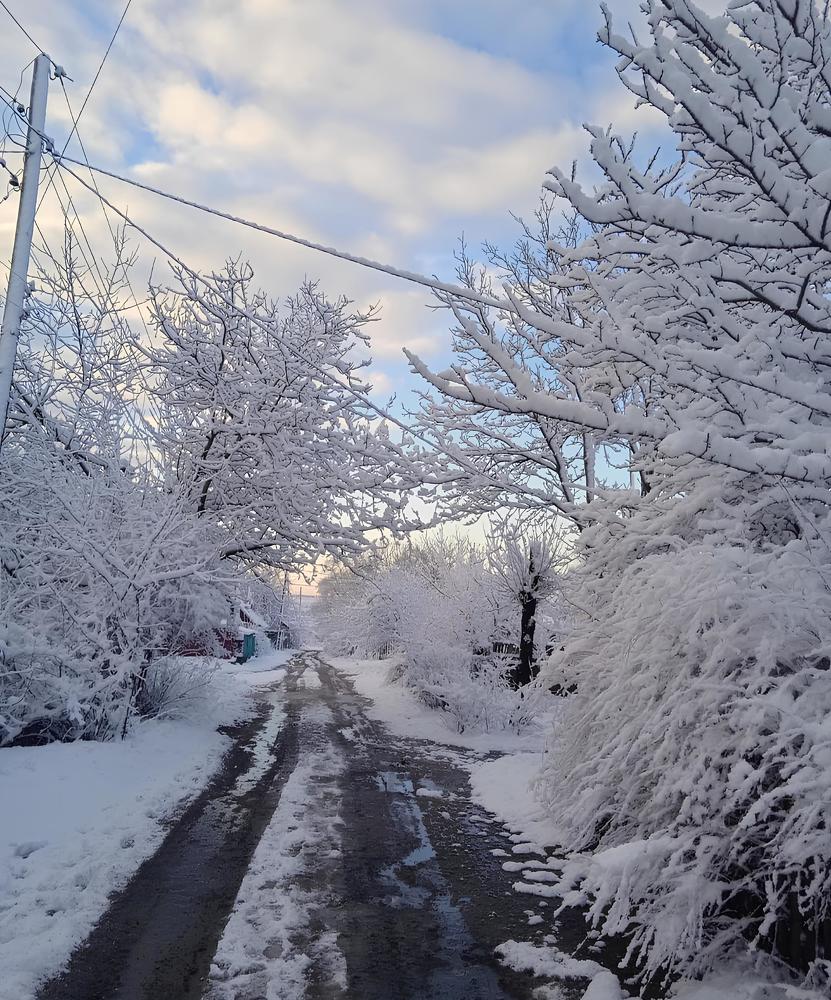 Photograph by Анна Напримерова