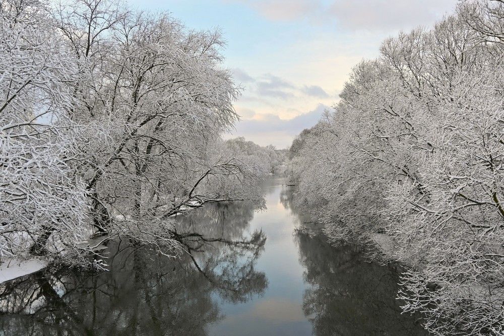 Фотография автора IRINA FILIPPOVA