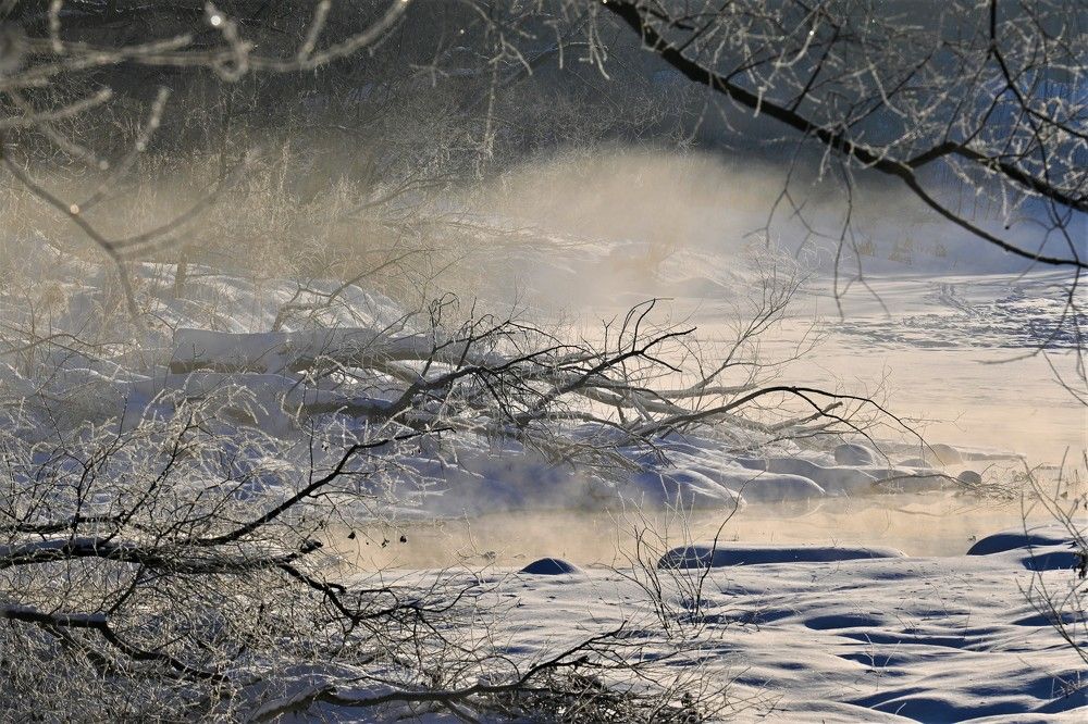 Фотография автора IRINA FILIPPOVA