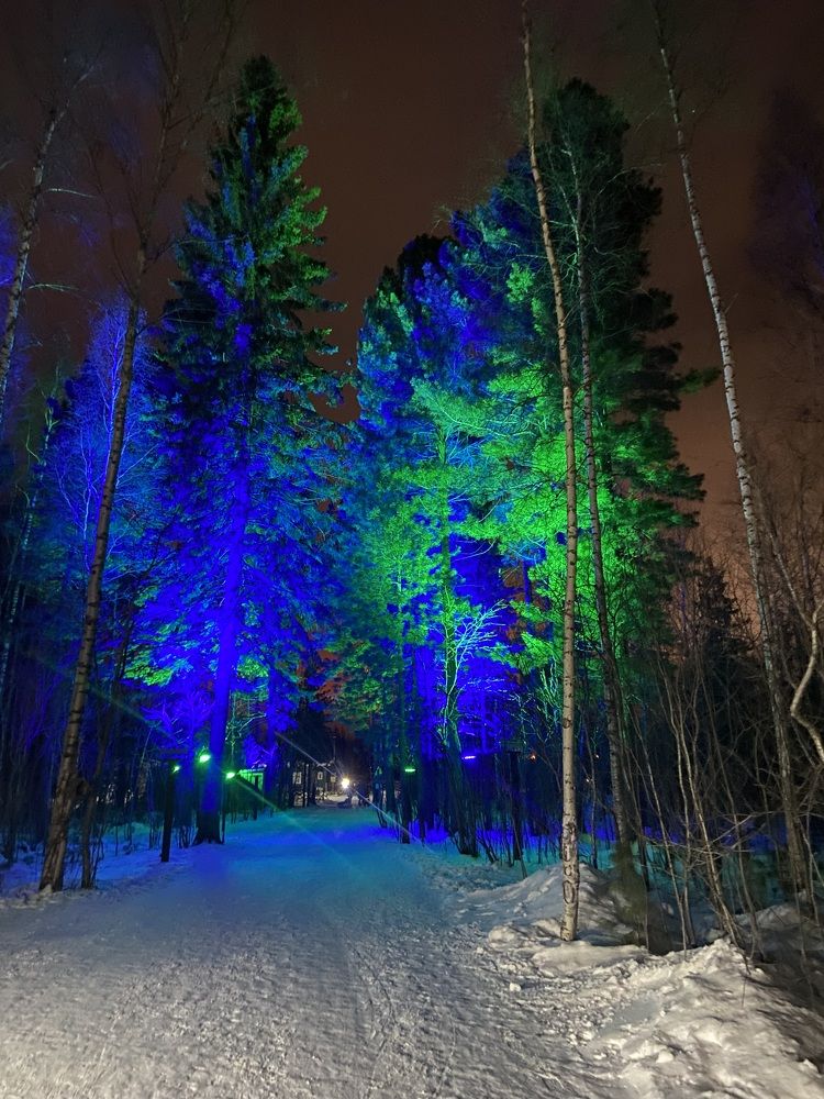 Photograph by Елена Мусина