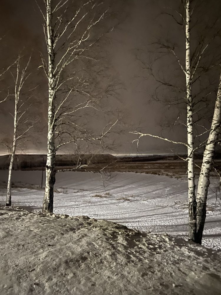 Photograph by Елена Мусина