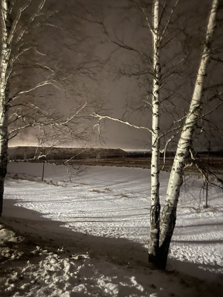 Photograph by Елена Мусина