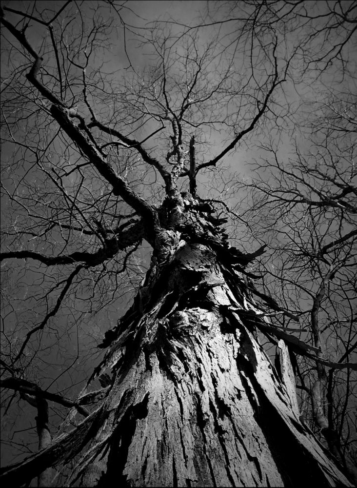 Photograph by John J Savala