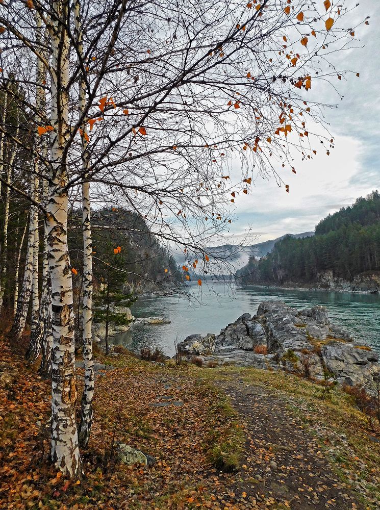 Осеннее утро.