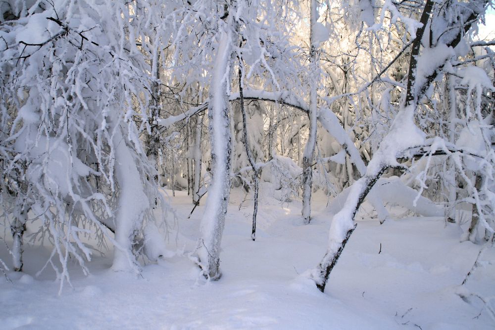 Photograph by Галина Ильясова