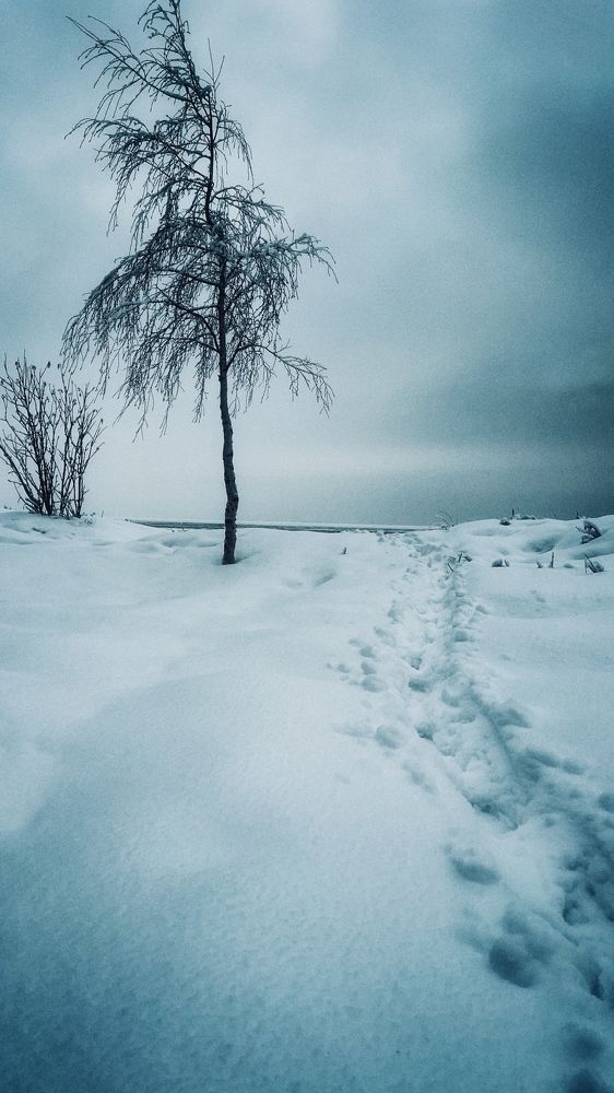 Photograph by Рада Панова