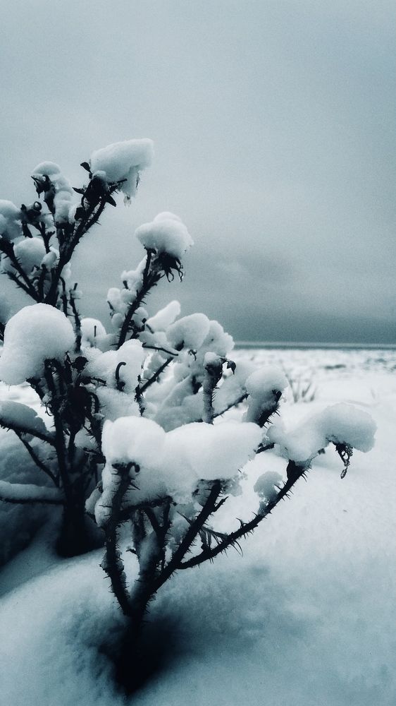 Photograph by Рада Панова