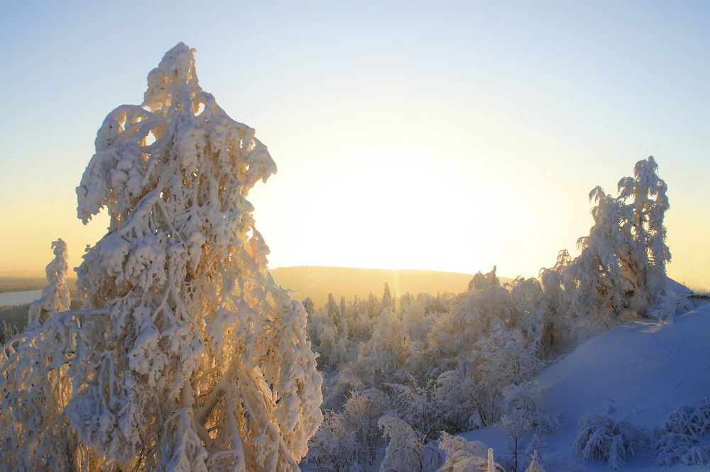 Photograph by Галина Ильясова