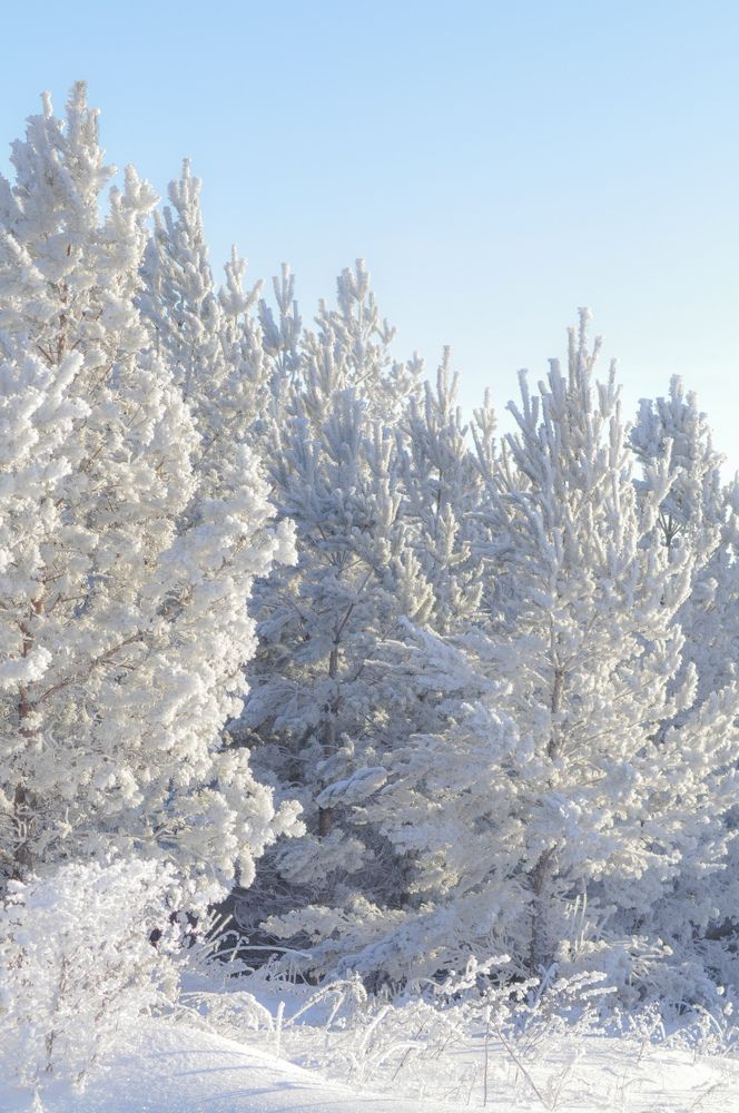 Photograph by Анастасия Тазиева