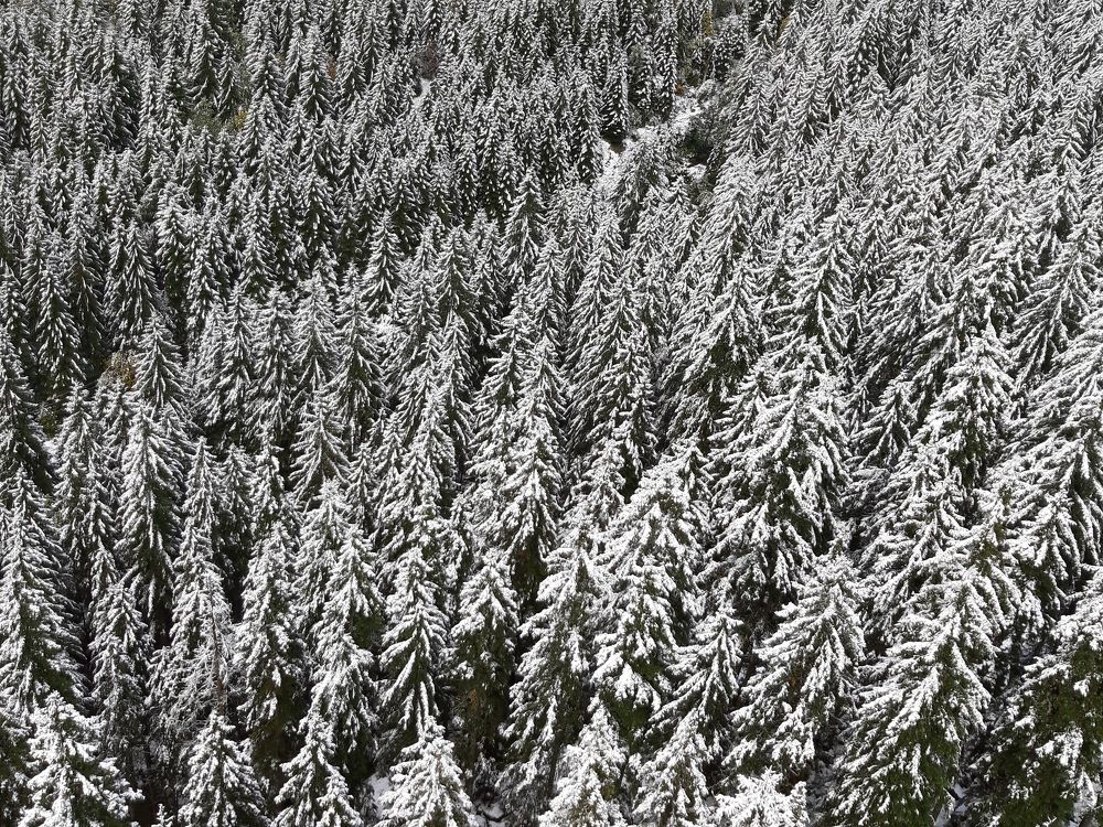 Photograph by esti lahat