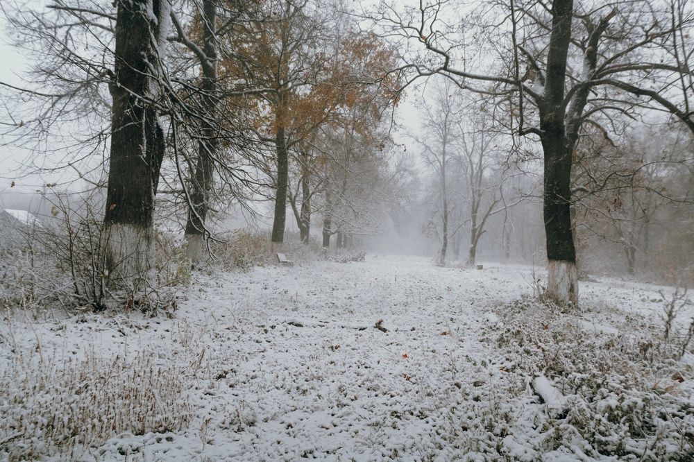 Фотография автора Михаил Назаров