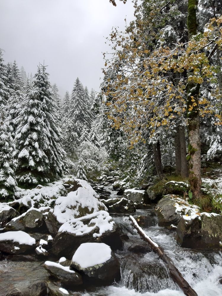 Photograph by esti lahat