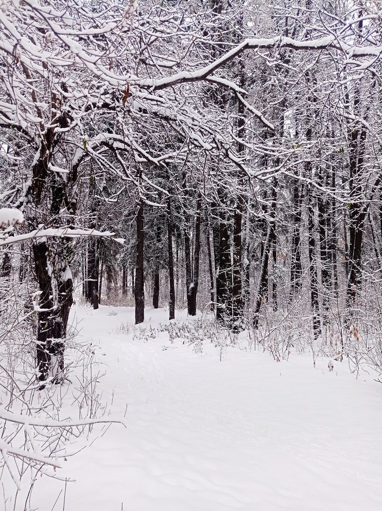 Photograph by Ирина Немкина