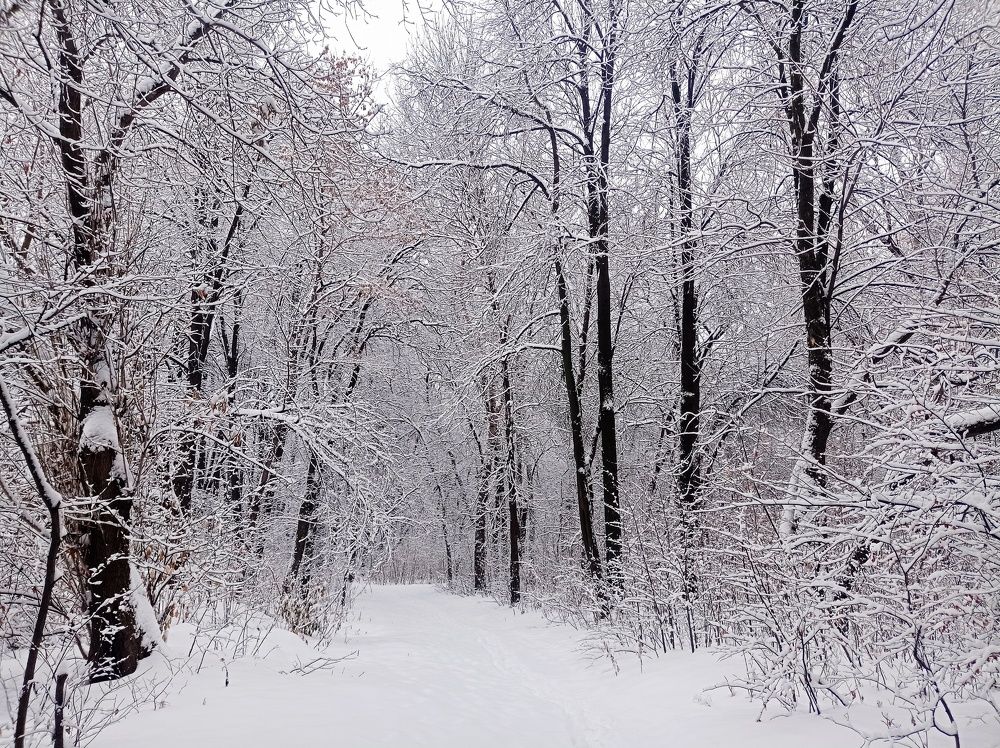 Photograph by Ирина Немкина