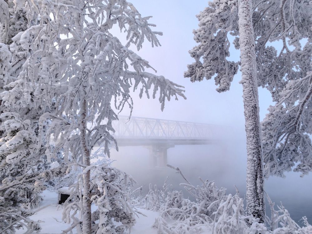 Photograph by Марина Корреа Ластра