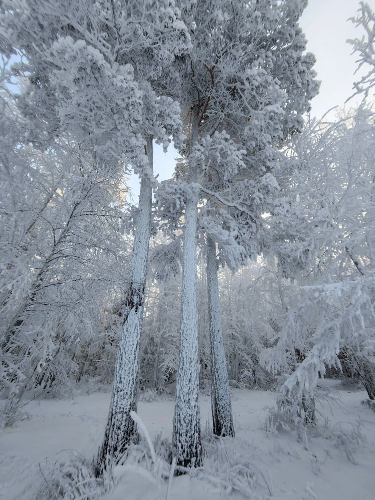 Photograph by Марина Корреа Ластра