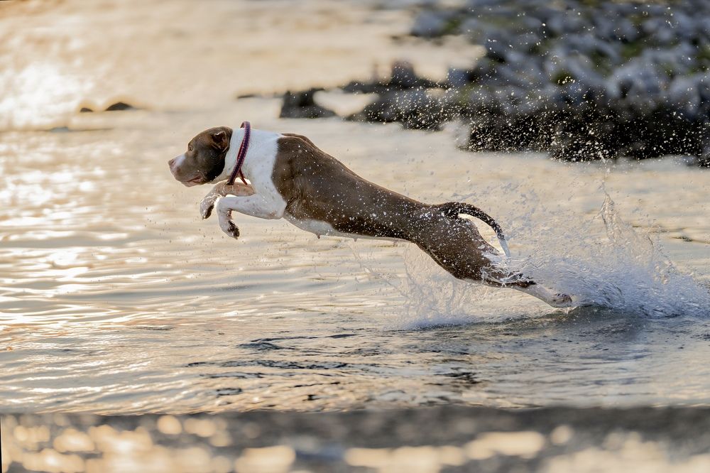 Photograph by Olga Shmeleva