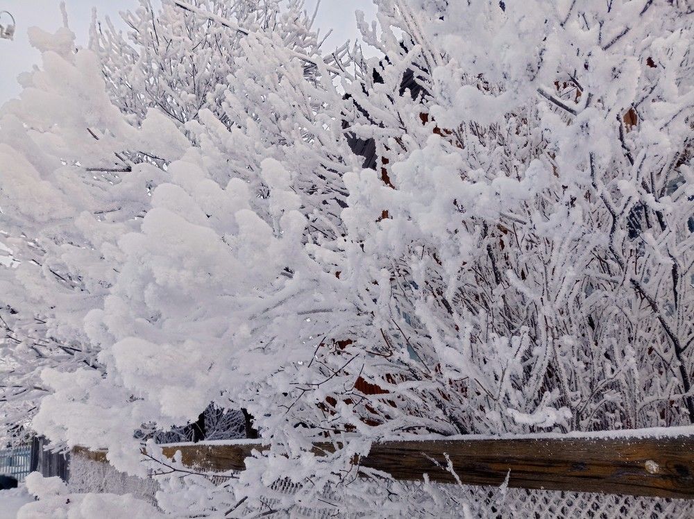 Photograph by Ирина Немкина