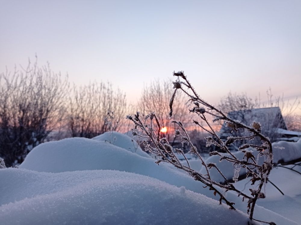 Photo #10021473