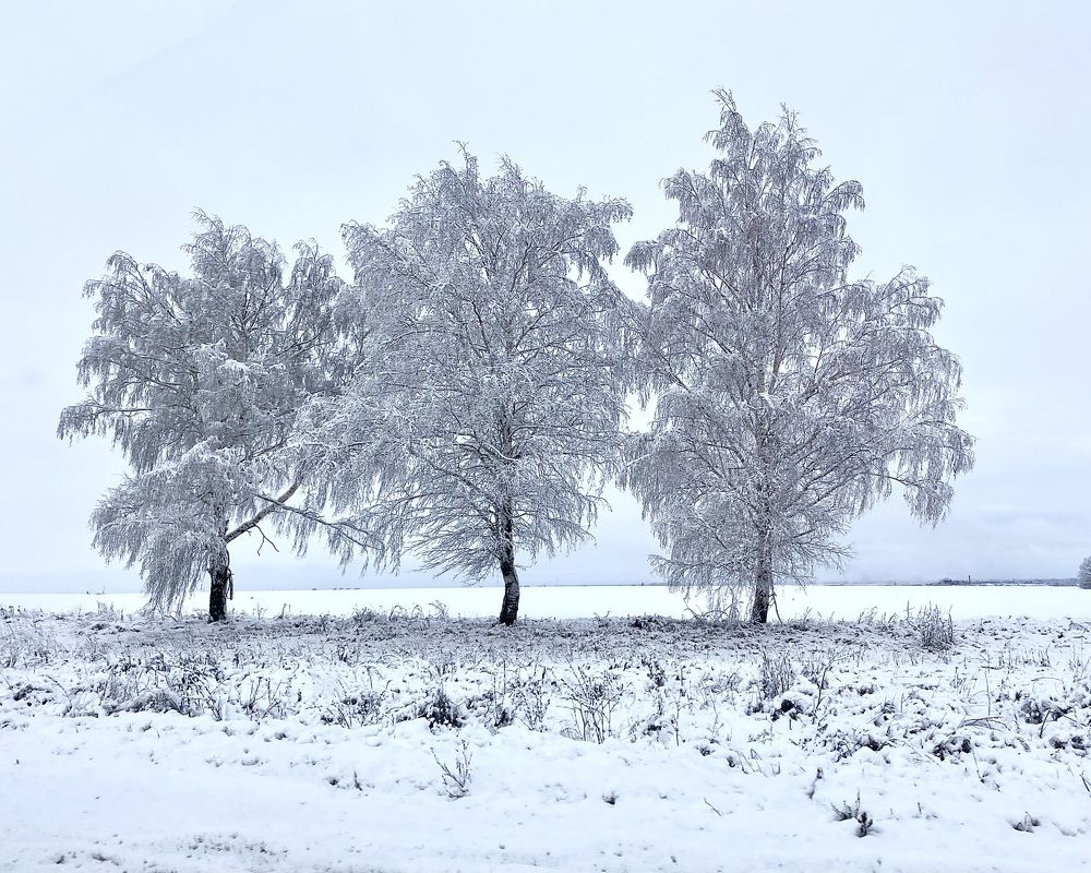 Photograph by Ольга Осинина