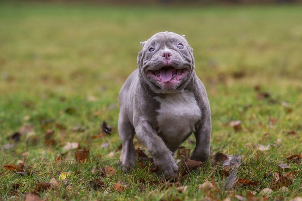 Photograph by Кулаков Юрий