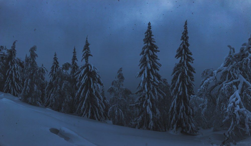 Photograph by Антон Глухов