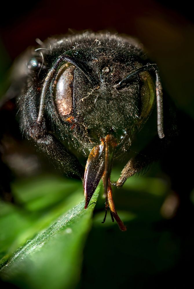 Photograph by Алексей Торлопов