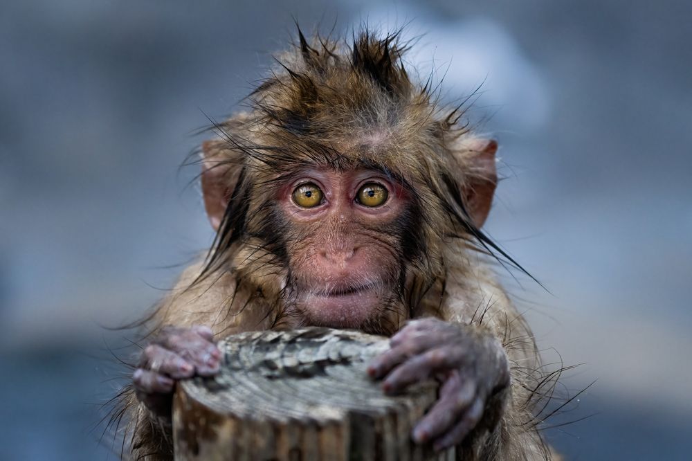 Photograph by Николай Мозгунов