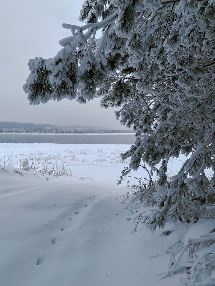 Photograph by Швай Наталья